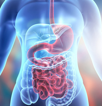 gastrointestinal-surgeries